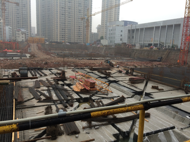 98堂论坛-追求康健,你我一起生长