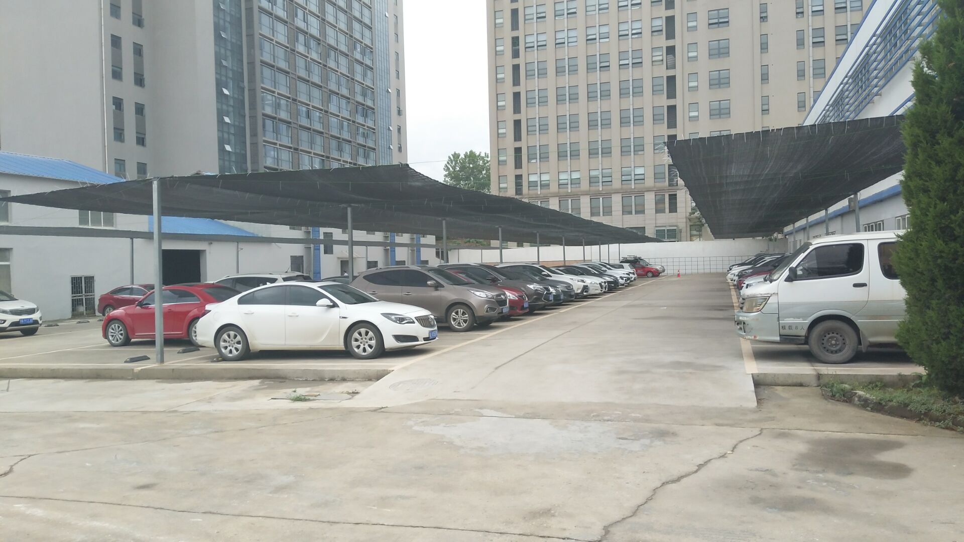 98堂论坛-追求康健,你我一起生长