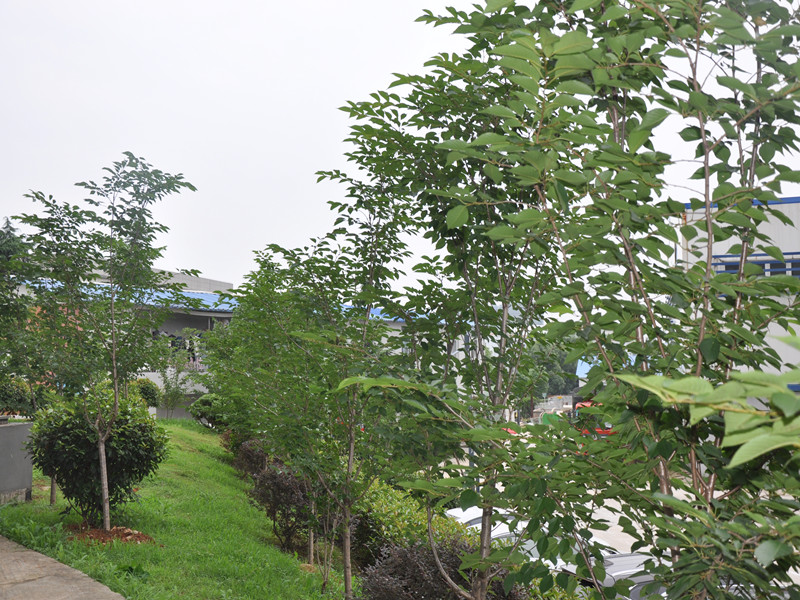 98堂论坛-追求康健,你我一起生长