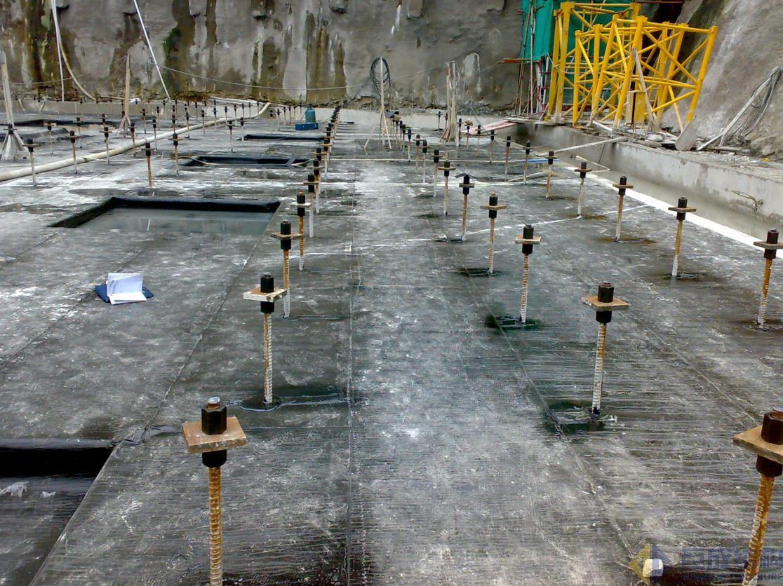 98堂论坛-追求康健,你我一起生长