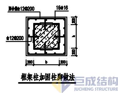98堂论坛-追求康健,你我一起生长