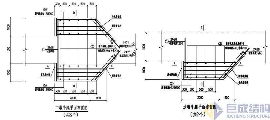 98堂论坛-追求康健,你我一起生长