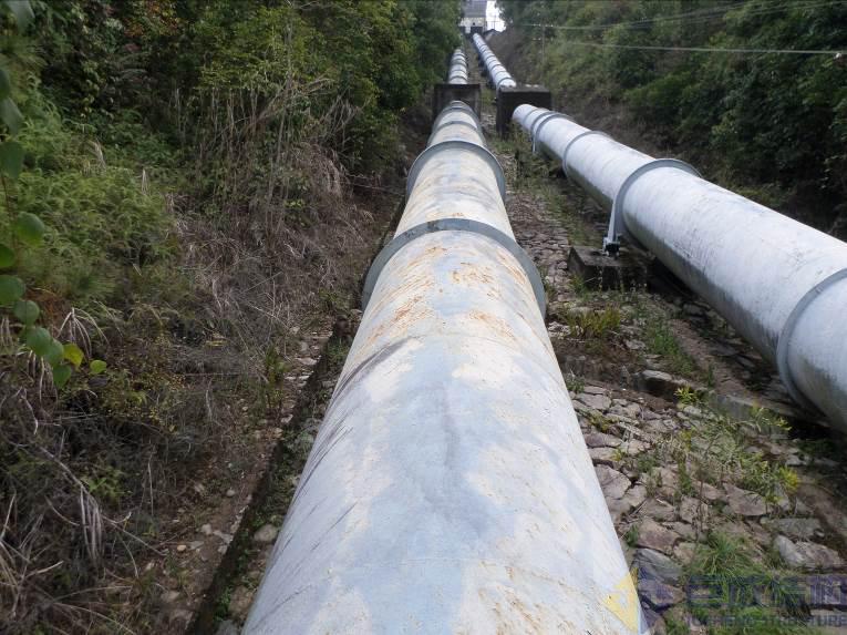 98堂论坛-追求康健,你我一起生长