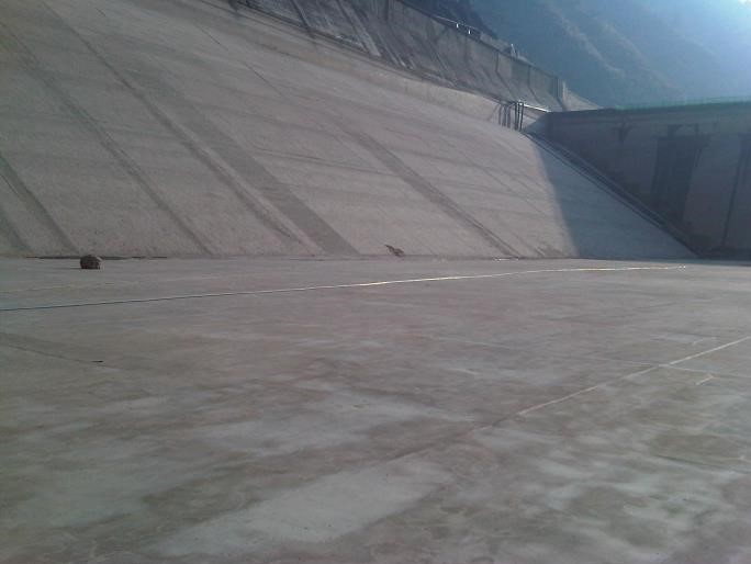 98堂论坛-追求康健,你我一起生长