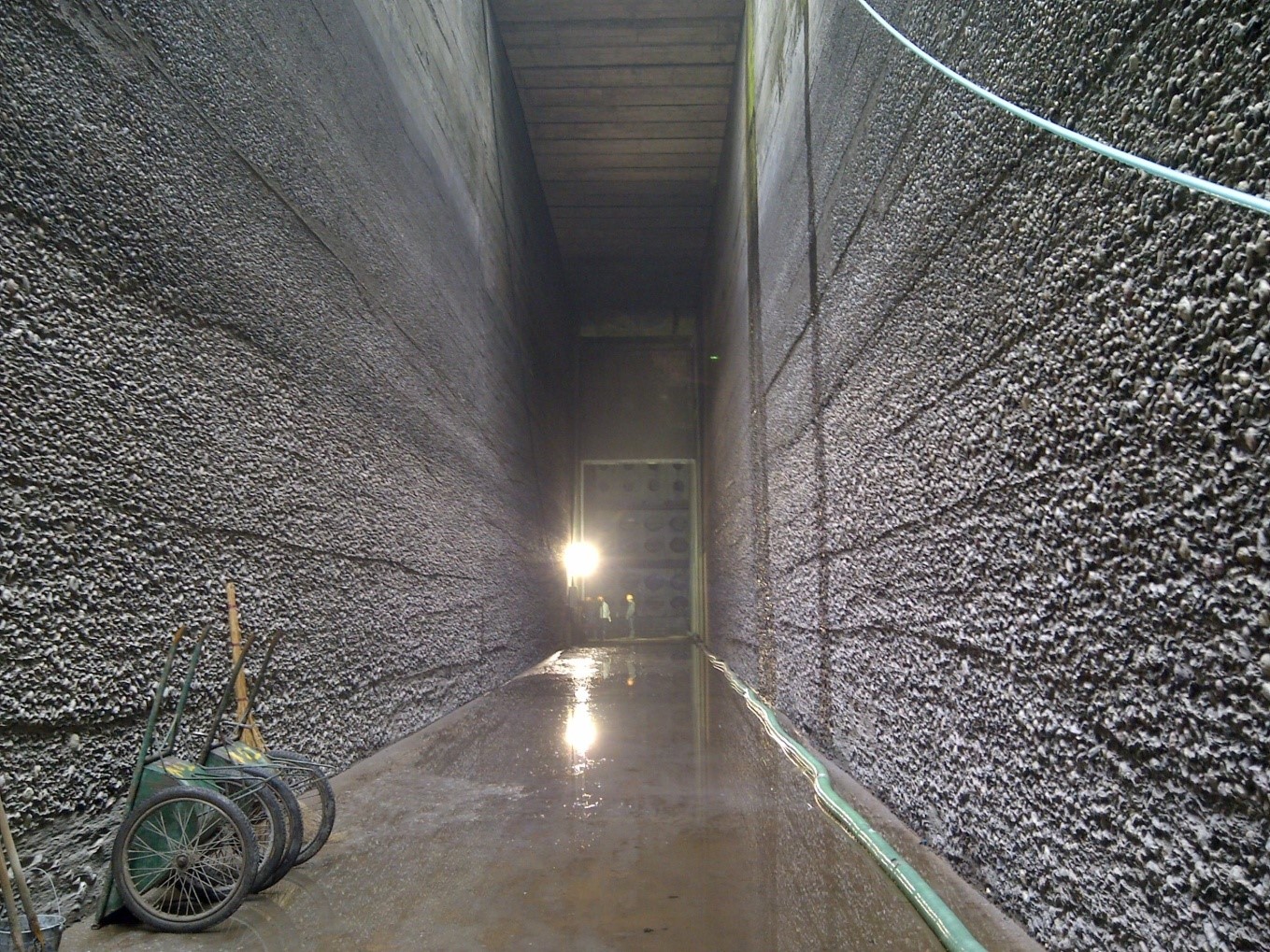 98堂论坛-追求康健,你我一起生长