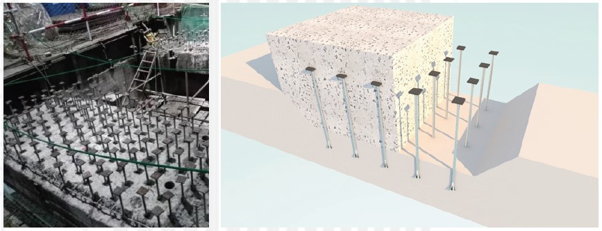 98堂论坛-追求康健,你我一起生长