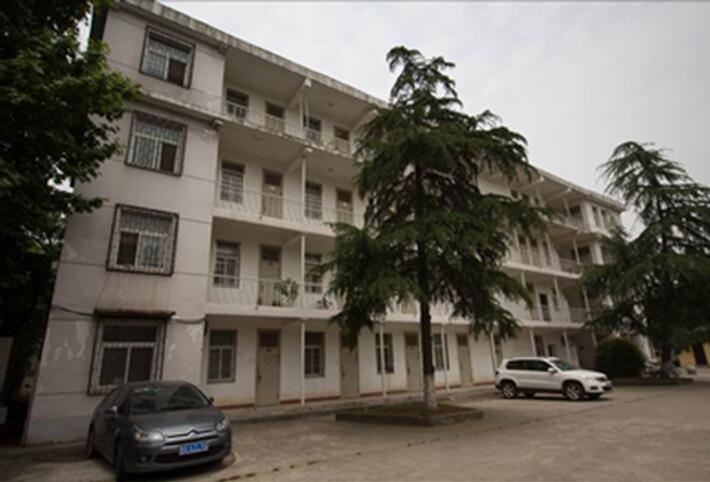 98堂论坛-追求康健,你我一起生长