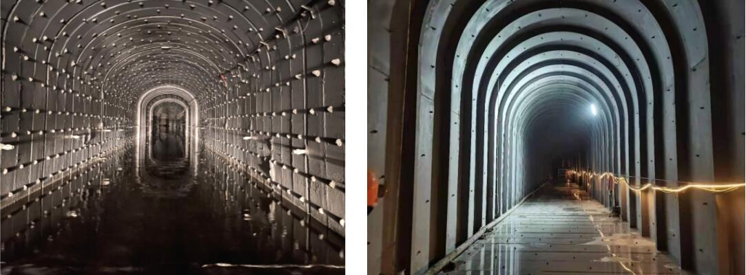 98堂论坛-追求康健,你我一起生长