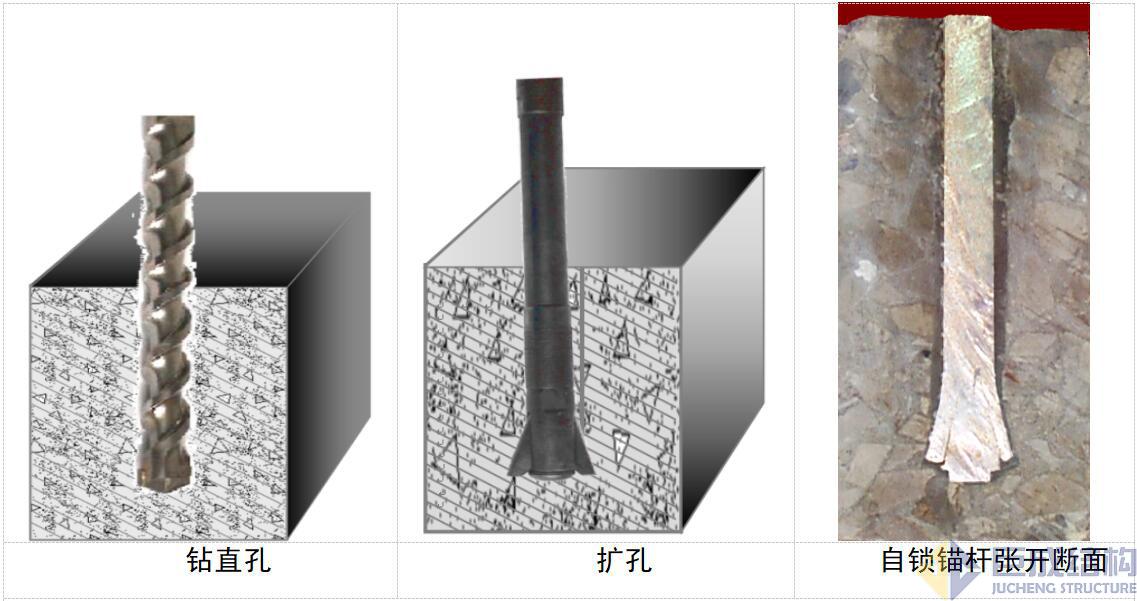 98堂论坛-追求康健,你我一起生长