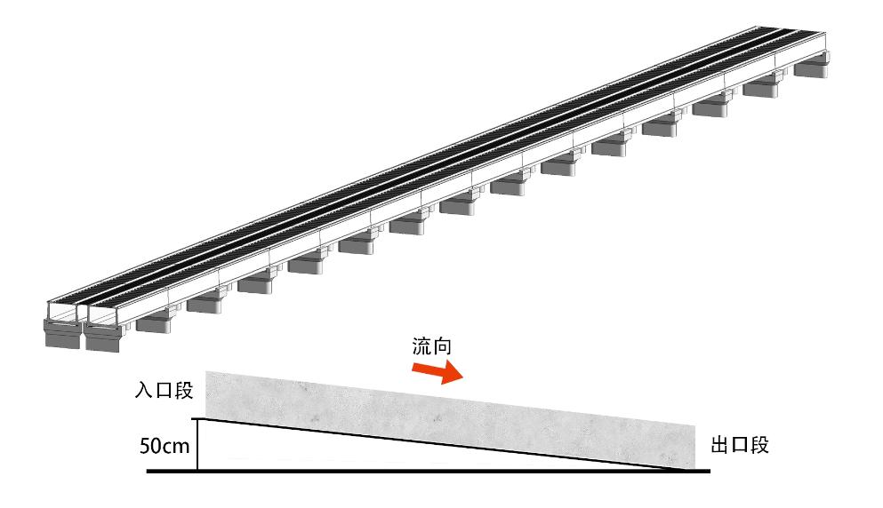 98堂论坛-追求康健,你我一起生长