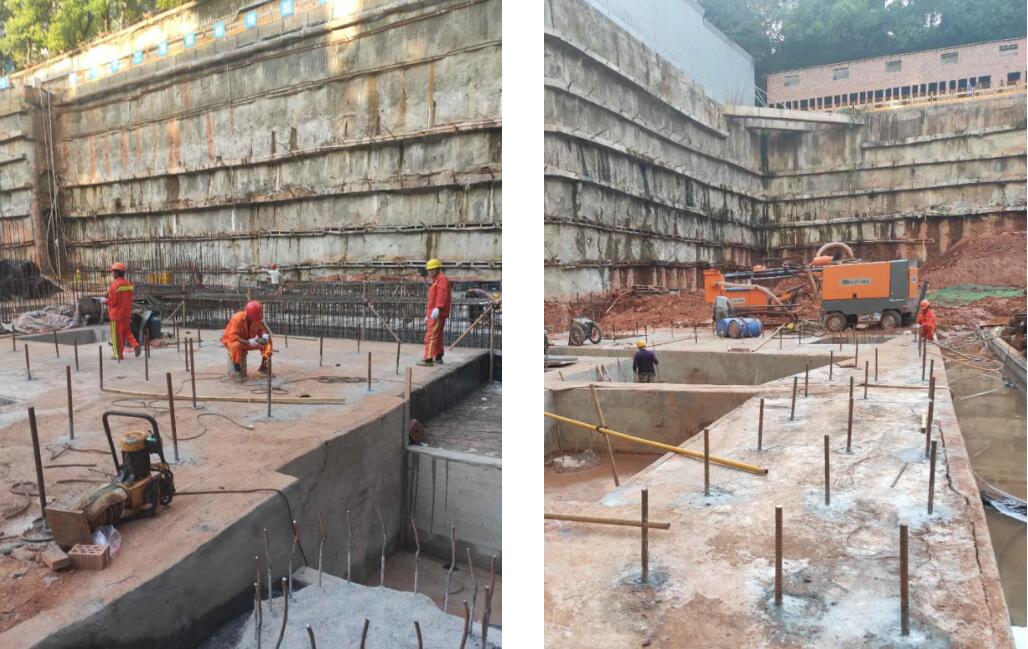 98堂论坛-追求康健,你我一起生长