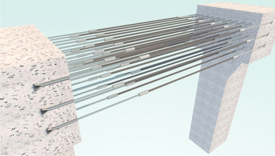 98堂论坛-追求康健,你我一起生长