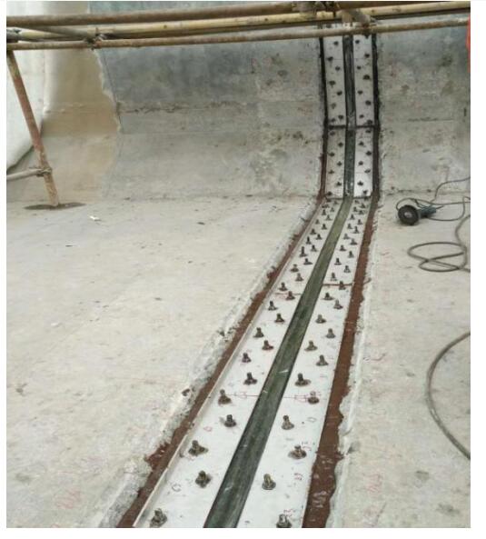 98堂论坛-追求康健,你我一起生长