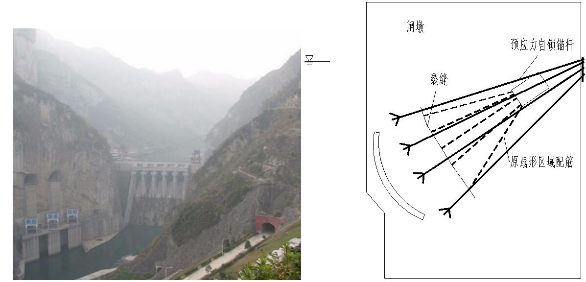 98堂论坛-追求康健,你我一起生长