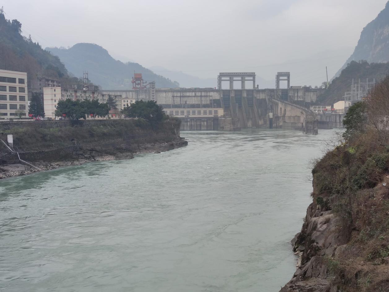 98堂论坛-追求康健,你我一起生长