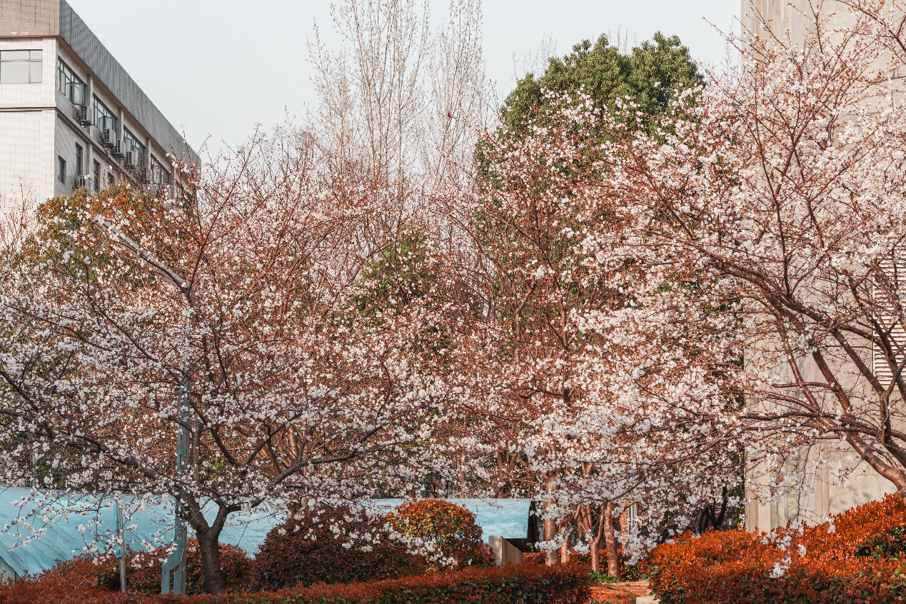 98堂论坛-追求康健,你我一起生长